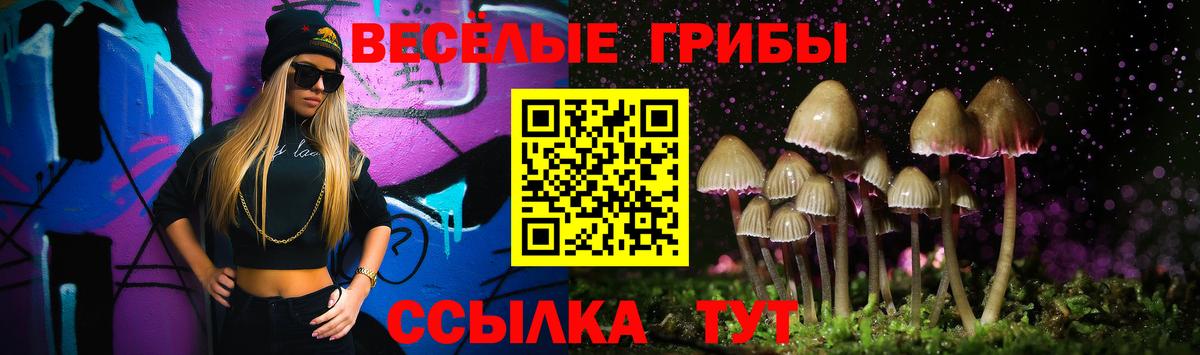 Псилоцибиновые грибы MAGIC MUSHROOMS Светлоград